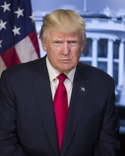 Donald Trump official portrait