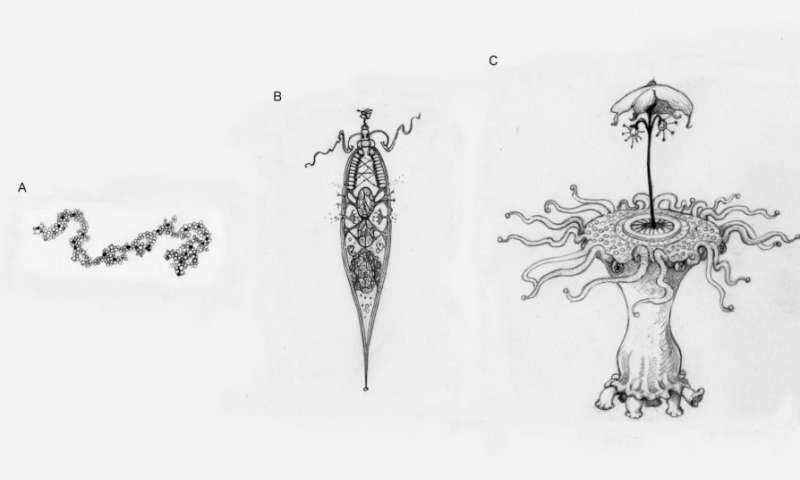 Picture an alien. These illustrations represent different levels of adaptive complexity we might imagine when thinking about aliens. (a) A simple replicating molecule, with no apparent design. This may or may not undergo natural selection. (b) An incredibly simple, cell-like entity. Even something this simple has sufficient contrivance of parts that it must undergo natural selection. (c) An alien with many intricate parts working together is likely to have undergone major transitions. Credit: University of Oxford