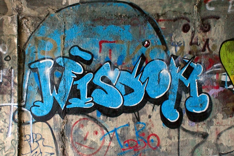 Photo by Frédéric BISSON, Flickr. (CC BY 2.0)