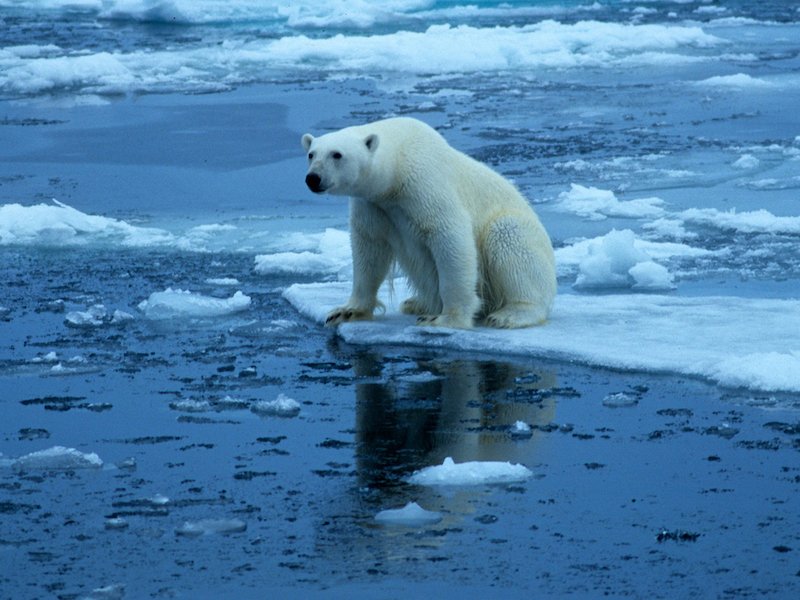 Photograph by Bjorn Anders Nymoen, MyShot
