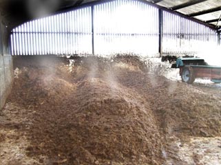 The Big, Steaming Pile The Big, Steaming Pile